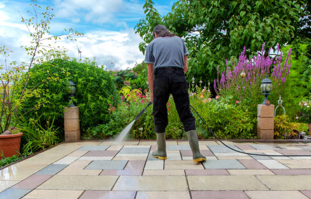 Best Driveway Pressure Washing  in Scottsboro, AL